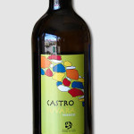 castro-iuvara-verdejo